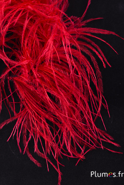 Autruche mèche sans coeur - 10 cm - carmin